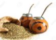 yerba mate foto